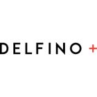 DElFINO