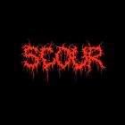 Шорты SCOUR