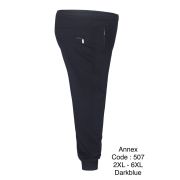 Брюки сп. ANNEX